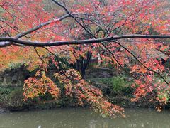 -秋霞圃