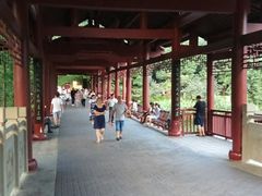 -重庆彩云湖湿地公园