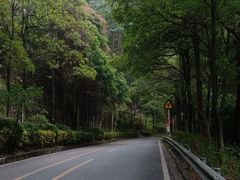 -东莞市大岭山森林公园