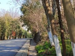 -南山风景名胜区