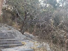 -云龙山