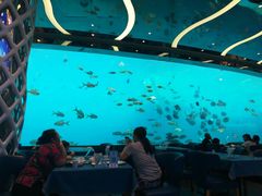 -瑞德姆美人鱼海底演艺主题餐厅(亚龙湾店)
