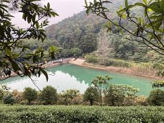 -九龙潭景区