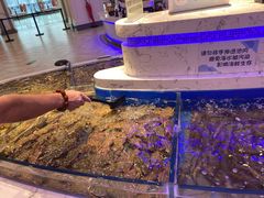 -澜悦港海鲜体验主题餐厅