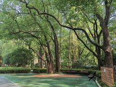 -徐家汇源景区-衡山公园