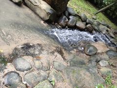 -火炉山森林公园