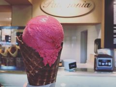 -Patagonia Chocolates(皇后镇店)