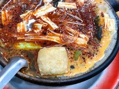 纯菜粉丝砂锅-清真·马文砂锅大全(麦苋街店)