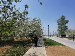 -野鸭湖国家湿地公园