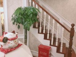 -茜尔维亚修身连锁