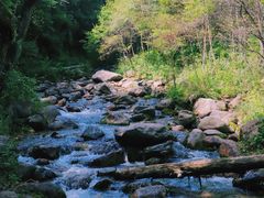 -玉渡山自然风景区