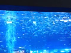 -成都浩海立方海洋公园