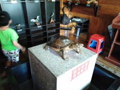 -南京金牛湖风景区