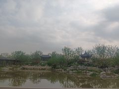 -上海滨江森林公园