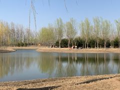 -东郊湿地公园
