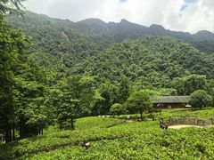 -姑婆山旅游区