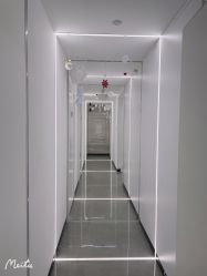 -处女座·MISS VIRGO·半永久纹眉野生眉