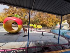 -朝阳公园游乐园