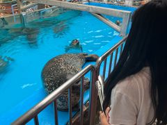-泉城欧乐堡海洋极地世界