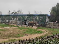 -西安秦岭野生动物园