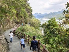 -羚羊峡古栈道森林公园
