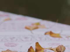 -南京市无想山景区