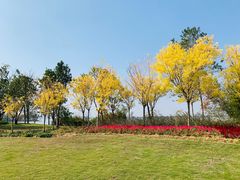 -瑶湖郊野森林公园