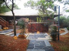 -东海森林温泉度假酒店