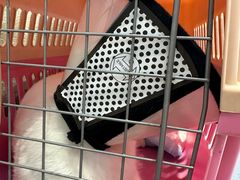 -关爱宠物医院·猫科中心·消化科(滨湖万达分院)