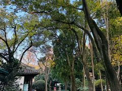 -汇龙潭