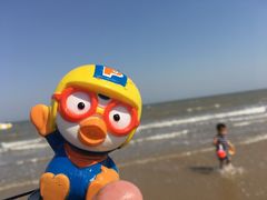 -日照海滨国家森林公园