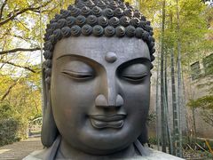 -杭州植物园