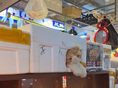 -喝丢一只鞋海鲜烧烤·海肠捞饭(市场店)