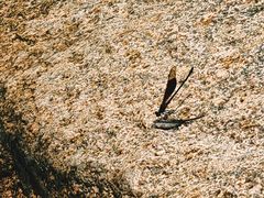 -海南热带雨林国家公园吊罗山景区