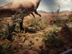 -贝林大翅鲸简餐厅(国家海洋博物馆店)