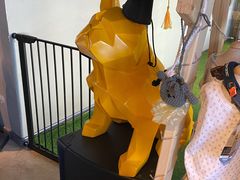 -百好乐宠物友好餐厅(朝外大街店)