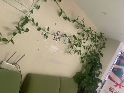 -净妍美肌专业净毛嫩肤连锁机构
