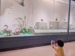 -南通博物苑-崇川人民公园