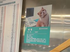 -伟伟宠物医院·CT影像中心·瑞派犬猫综合性门诊(汉口总院)