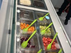 -Salud撒露欧洲冻酸奶(798艺术区店)