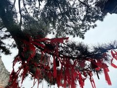 -圣莲山风景区