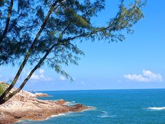 -广东惠东海龟国家级自然保护区