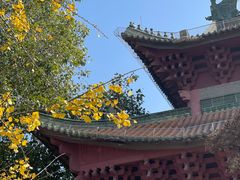 -顺峰山公园