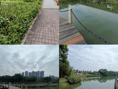 -中澳友谊花园