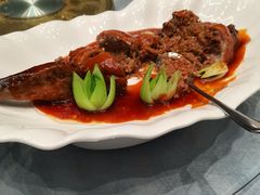 -丁老爷子苏香圆
