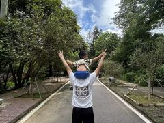 -广东茂名森林公园