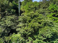 -九华秋浦胜境大王洞风景区