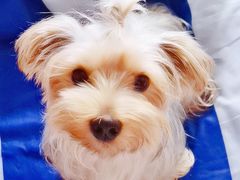 -爱侣宠医·鹦鹉专科·小型哺乳类·异宠专科(灵石路店)