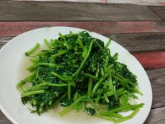 -林之六八·6886大连老菜馆