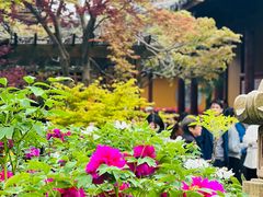 -龙华寺